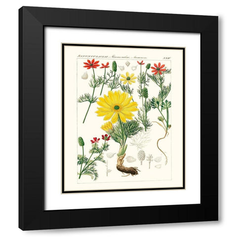 Bright Botanicals IV Black Modern Wood Framed Art Print with Double Matting by Unknown