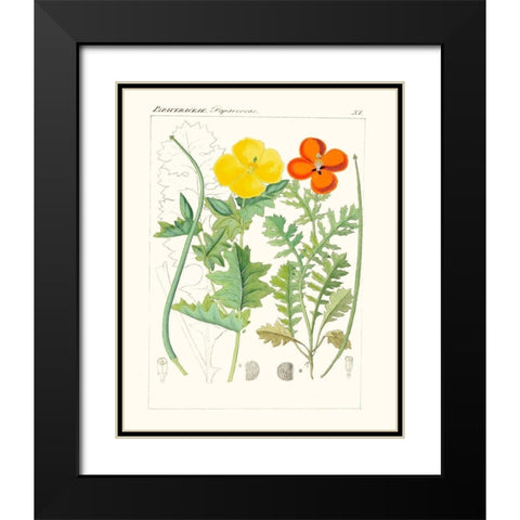 Bright Botanicals VII Black Modern Wood Framed Art Print with Double Matting by Unknown