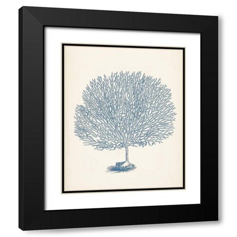 Antique Coral Collection I Black Modern Wood Framed Art Print with Double Matting by Vision Studio