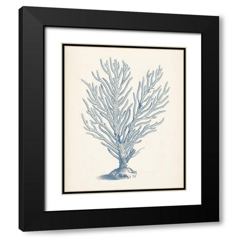 Antique Coral Collection II Black Modern Wood Framed Art Print with Double Matting by Vision Studio