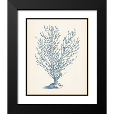 Antique Coral Collection II Black Modern Wood Framed Art Print with Double Matting by Vision Studio