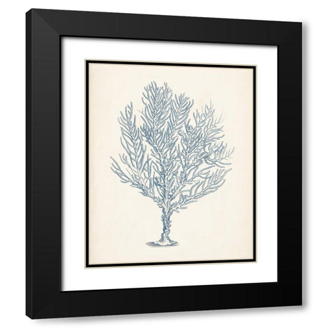 Antique Coral Collection III Black Modern Wood Framed Art Print with Double Matting by Vision Studio