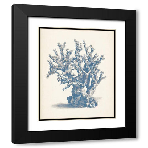 Antique Coral Collection V Black Modern Wood Framed Art Print with Double Matting by Vision Studio