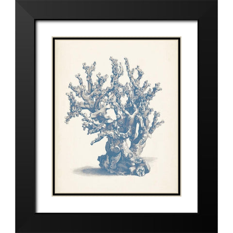 Antique Coral Collection V Black Modern Wood Framed Art Print with Double Matting by Vision Studio