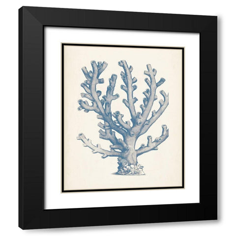 Antique Coral Collection VI Black Modern Wood Framed Art Print with Double Matting by Vision Studio