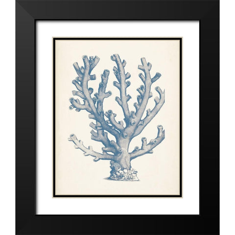 Antique Coral Collection VI Black Modern Wood Framed Art Print with Double Matting by Vision Studio