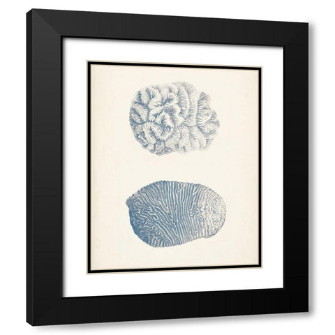 Antique Coral Collection VII Black Modern Wood Framed Art Print with Double Matting by Vision Studio