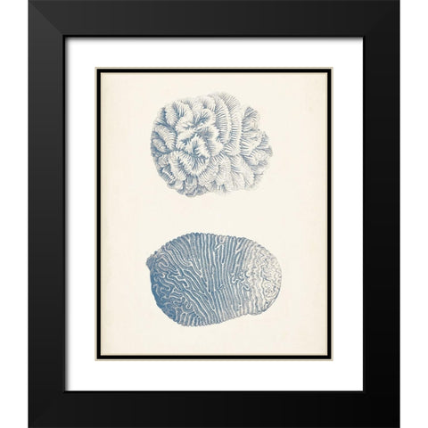 Antique Coral Collection VII Black Modern Wood Framed Art Print with Double Matting by Vision Studio