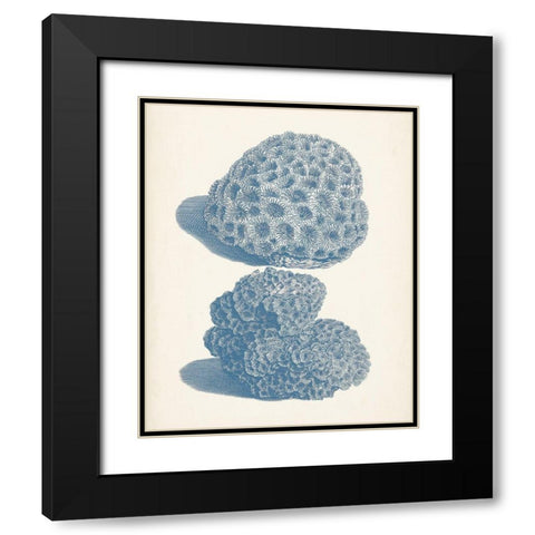 Antique Coral Collection VIII Black Modern Wood Framed Art Print with Double Matting by Vision Studio
