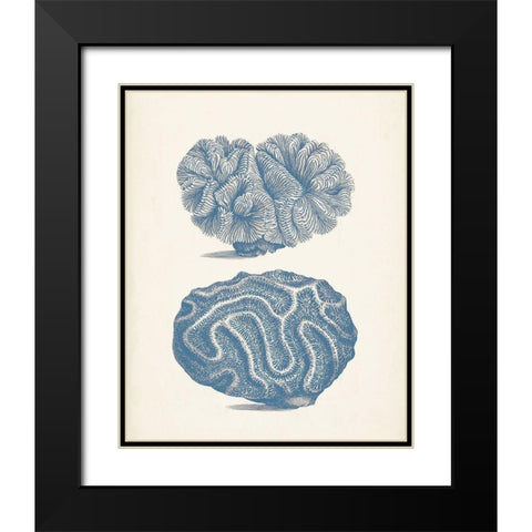 Antique Coral Collection IX Black Modern Wood Framed Art Print with Double Matting by Vision Studio