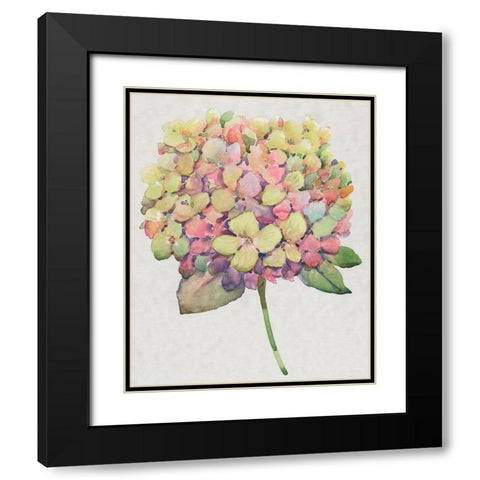 Multicolor Floral II Black Modern Wood Framed Art Print with Double Matting by OToole, Tim