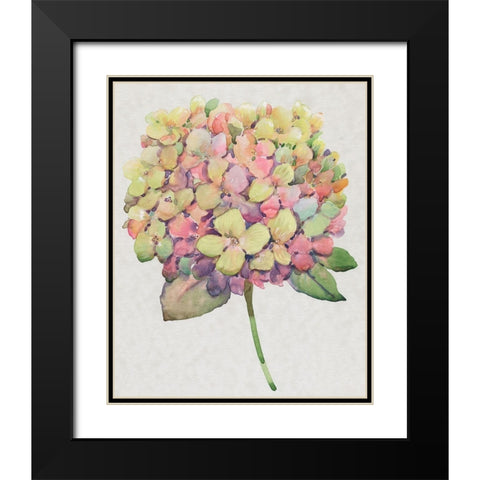 Multicolor Floral II Black Modern Wood Framed Art Print with Double Matting by OToole, Tim