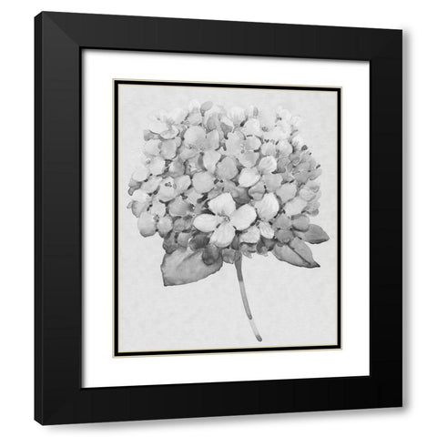 Silvertone Floral II Black Modern Wood Framed Art Print with Double Matting by OToole, Tim