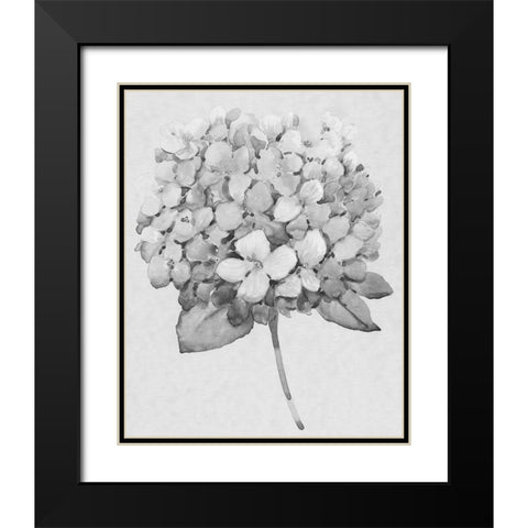 Silvertone Floral II Black Modern Wood Framed Art Print with Double Matting by OToole, Tim