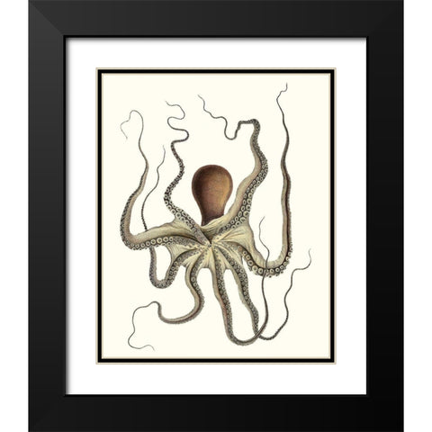 Antique Octopus Collection I Black Modern Wood Framed Art Print with Double Matting by Unknown