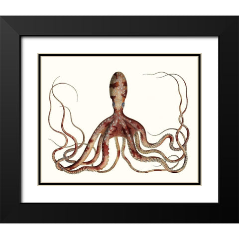 Antique Octopus Collection II Black Modern Wood Framed Art Print with Double Matting by Unknown