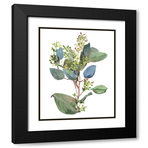 Seeded Eucalyptus I Black Modern Wood Framed Art Print with Double Matting by Wang, Melissa