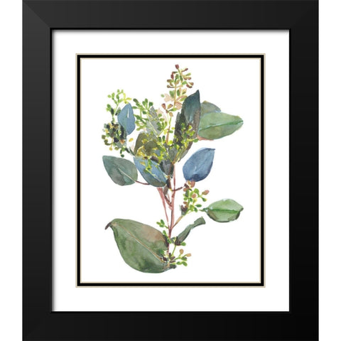 Seeded Eucalyptus I Black Modern Wood Framed Art Print with Double Matting by Wang, Melissa