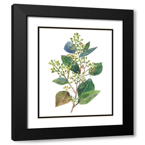 Seeded Eucalyptus II Black Modern Wood Framed Art Print with Double Matting by Wang, Melissa