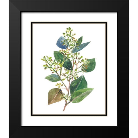 Seeded Eucalyptus II Black Modern Wood Framed Art Print with Double Matting by Wang, Melissa