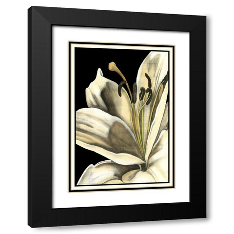 Graphic Lily III Black Modern Wood Framed Art Print with Double Matting by Goldberger, Jennifer