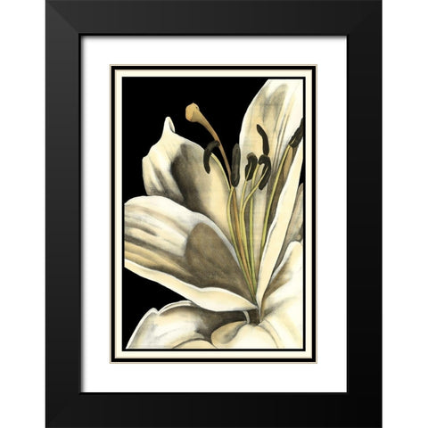 Graphic Lily III Black Modern Wood Framed Art Print with Double Matting by Goldberger, Jennifer