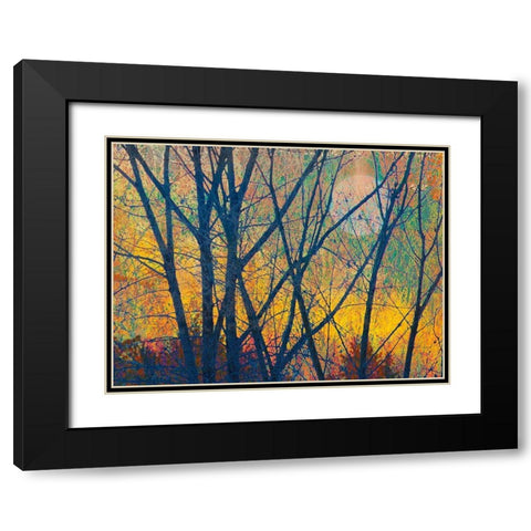 Meadow Trees I Black Modern Wood Framed Art Print with Double Matting by Vest, Chris