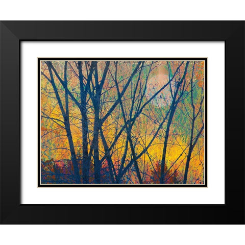 Meadow Trees I Black Modern Wood Framed Art Print with Double Matting by Vest, Chris