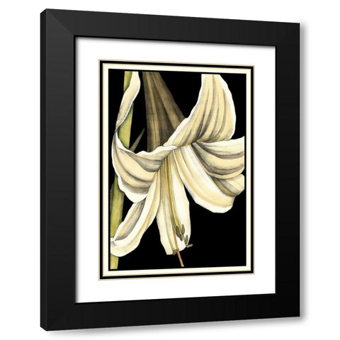 Graphic Lily IV Black Modern Wood Framed Art Print with Double Matting by Goldberger, Jennifer