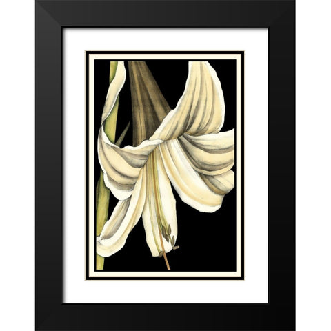 Graphic Lily IV Black Modern Wood Framed Art Print with Double Matting by Goldberger, Jennifer