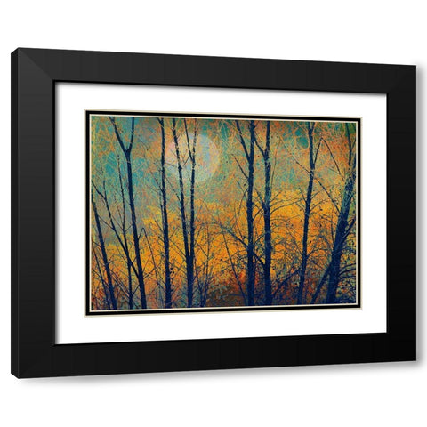 Meadow Trees II Black Modern Wood Framed Art Print with Double Matting by Vest, Chris