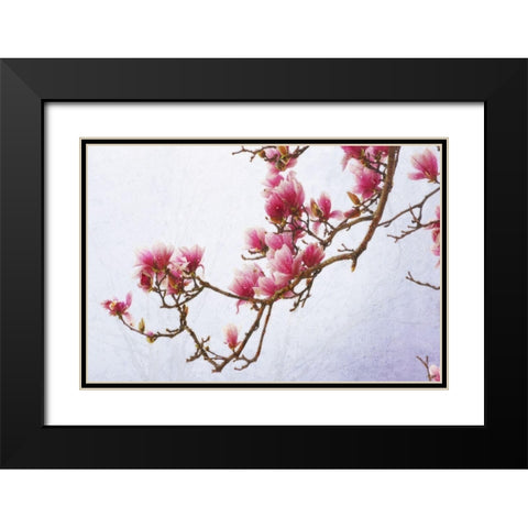 Painted Magnolias II Black Modern Wood Framed Art Print with Double Matting by Vest, Chris