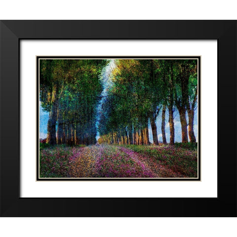 Row of Trees Provence Black Modern Wood Framed Art Print with Double Matting by Vest, Chris