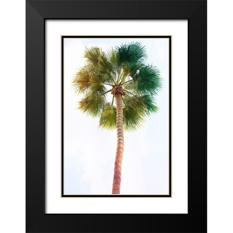 Palmetto I Black Modern Wood Framed Art Print with Double Matting by Hartson-Weddle, Ryan
