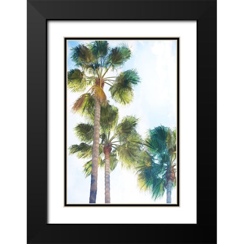 Palmetto II Black Modern Wood Framed Art Print with Double Matting by Hartson-Weddle, Ryan
