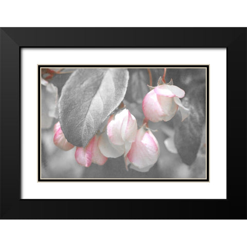 Gray Velvet I Black Modern Wood Framed Art Print with Double Matting by Stalus, Judy