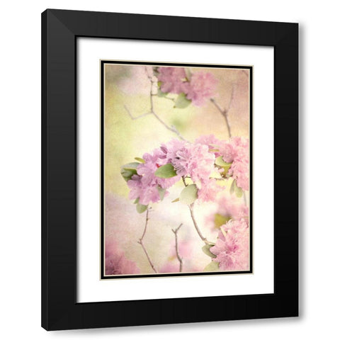 Reaching for the Sky I Black Modern Wood Framed Art Print with Double Matting by Stalus, Judy