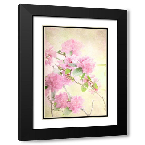 Reaching for the Sky II Black Modern Wood Framed Art Print with Double Matting by Stalus, Judy