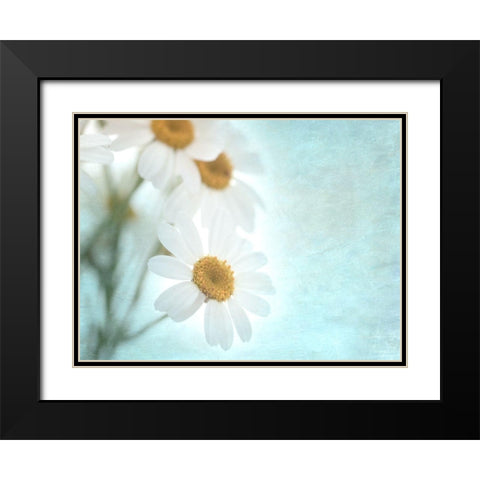 Daisy Love I Black Modern Wood Framed Art Print with Double Matting by Stalus, Judy
