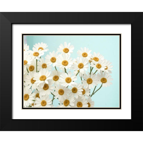 Daisy Love II Black Modern Wood Framed Art Print with Double Matting by Stalus, Judy