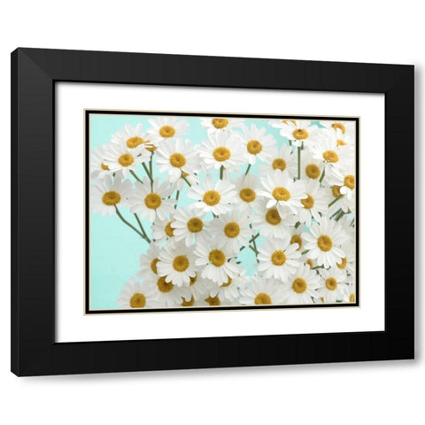 Daisy Love III Black Modern Wood Framed Art Print with Double Matting by Stalus, Judy