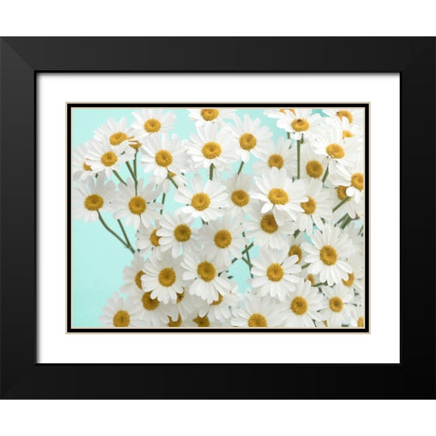 Daisy Love III Black Modern Wood Framed Art Print with Double Matting by Stalus, Judy