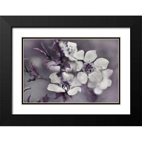 Tales from an Enchanted Glen I Black Modern Wood Framed Art Print with Double Matting by Hunt, Gillian