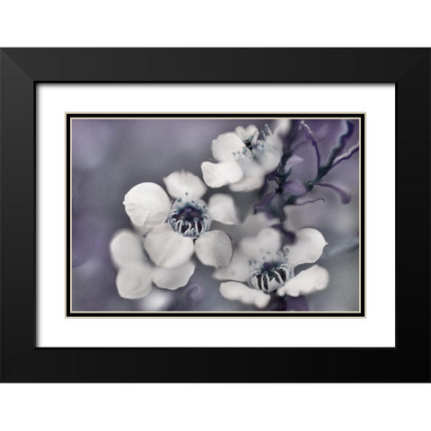 Tales from an Enchanted Glen II Black Modern Wood Framed Art Print with Double Matting by Hunt, Gillian