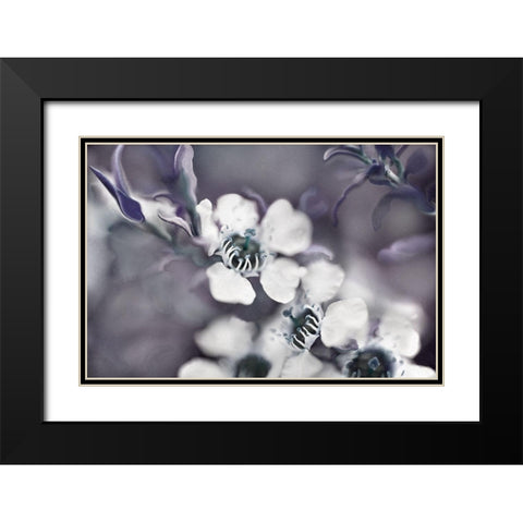 Tales from an Enchanted Glen III Black Modern Wood Framed Art Print with Double Matting by Hunt, Gillian