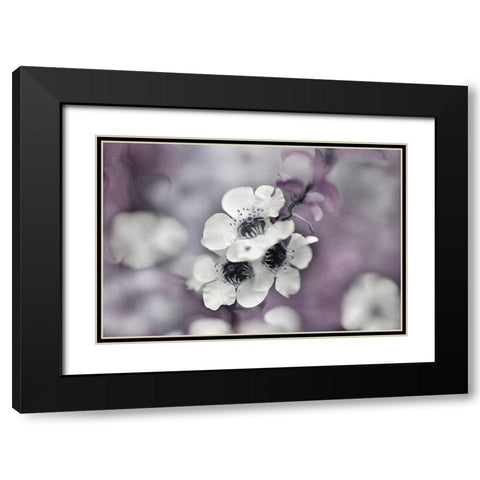 Tales from an Enchanted Glen IV Black Modern Wood Framed Art Print with Double Matting by Hunt, Gillian