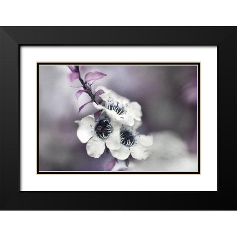 Tales from an Enchanted Glen V Black Modern Wood Framed Art Print with Double Matting by Hunt, Gillian