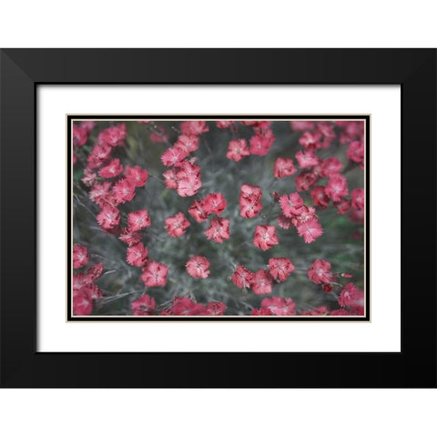 Natures Textures I Black Modern Wood Framed Art Print with Double Matting by Stramel, Renee W.