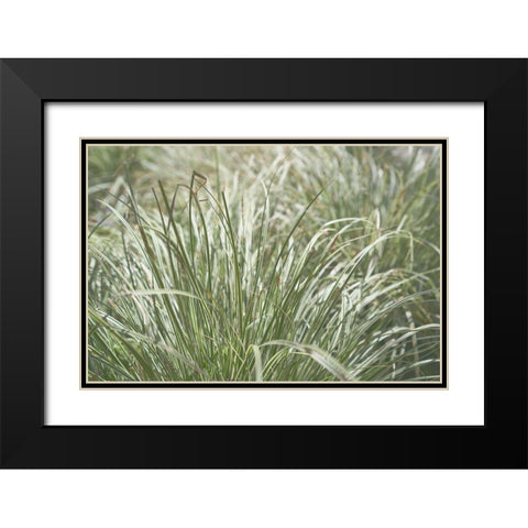 Natures Textures IV Black Modern Wood Framed Art Print with Double Matting by Stramel, Renee W.