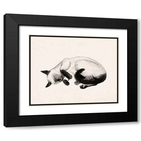 Cat Laze III Black Modern Wood Framed Art Print with Double Matting by Popp, Grace